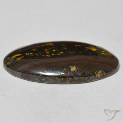 Matriz Ojo de Tigre Multicolor natural de 30.82 ct, Ovalada, Opaco