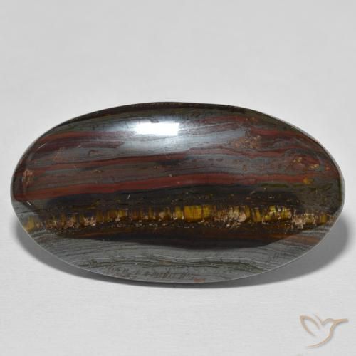 59.32ct Natural Multicolor Matriz Ojo de Tigre, Ovalada, Opaco
