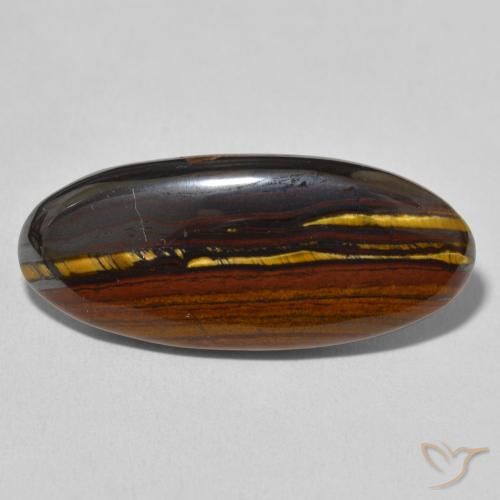 19.61ct Natural Multicolor Matriz Ojo de Tigre, Ovalada, Opaco