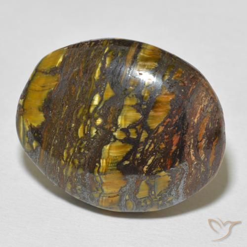 Matriz Ojo de Tigre Multicolor natural de 36.37 ct, Ovalada, Opaco