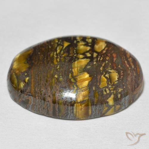 Matriz Ojo de Tigre Multicolor natural de 36.37 ct, Ovalada, Opaco