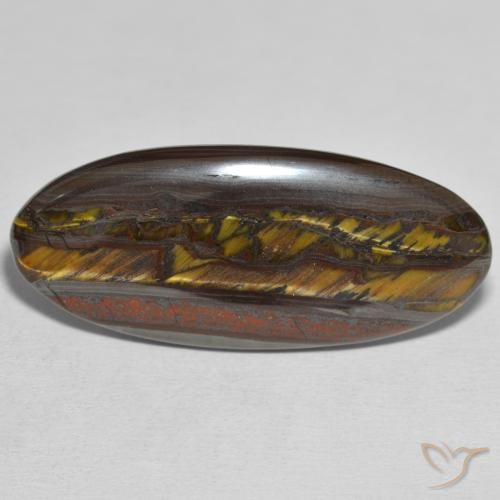 31.43ct Natural Multicolor Matriz Ojo de Tigre, Ovalada, Opaco