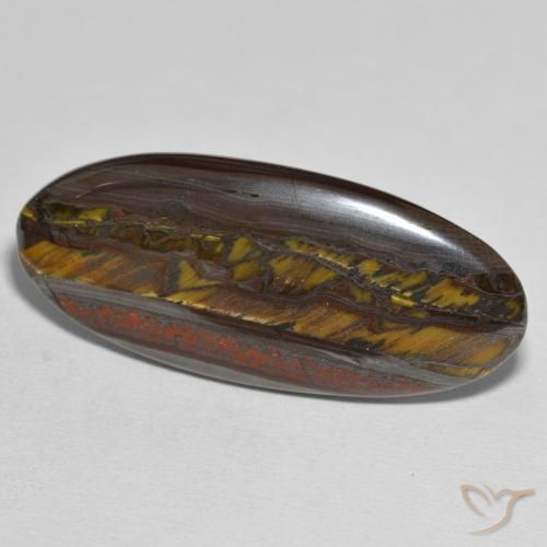 Matriz Ojo de Tigre Multicolor natural de 31.43 ct, Ovalada, Opaco