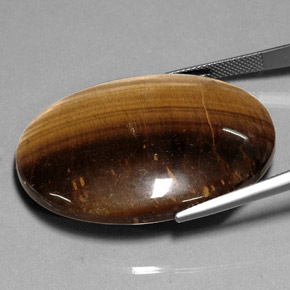 Tiger's eye marrón natural de 75,05 ct, corte óvalo, opaco