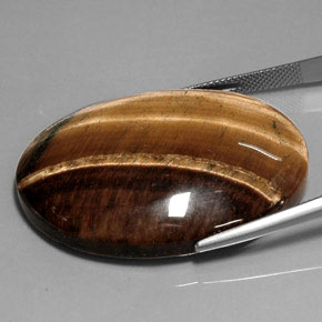 Ojo de Tigre Marrón oro natural de 75.54 ct, Corte Óvalo, Opaco