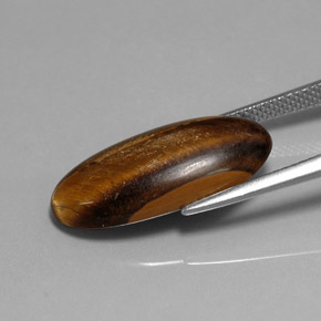 Ojo de Tigre Marrón oro natural de 10.15 ct, Corte Óvalo, Opaco