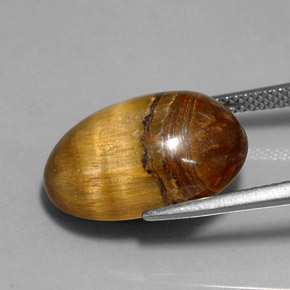Tiger's eye marrón natural de 12,90 ct, corte óvalo, opaco