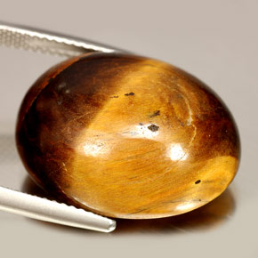 Ojo de Tigre Marrón oro natural de 24.55 ct, Corte Óvalo, Opaco