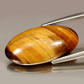 Ojo de Tigre Marrón oro natural de 14.67 ct, Corte Óvalo, Opaco