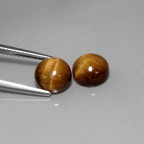 Gemas de Ojo de Tigre Marrón oro natural de  ct, Corte Redondo, Opaco