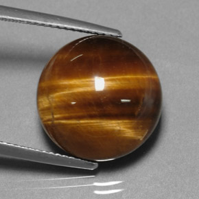 Ojo de tigre marrón natural de 12,20 ct, corte redondo, opaco