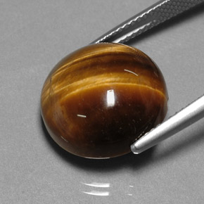 Ojo de tigre marrón natural de 12,20 ct, corte redondo, opaco