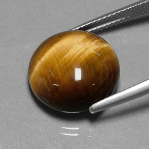 Tiger's eye marrón natural de 11,12 ct, corte redondo, opaco