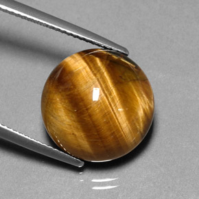 Tiger's eye marrón natural de 11,83 ct, corte redondo, opaco