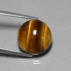 Tiger's eye marrón natural de 11,77 ct, corte redondo, opaco