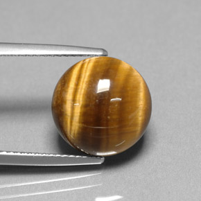 Tiger's eye marrón natural de 6,69 ct, corte redondo, opaco