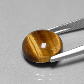 Tiger's eye marrón natural de 6,69 ct, corte redondo, opaco