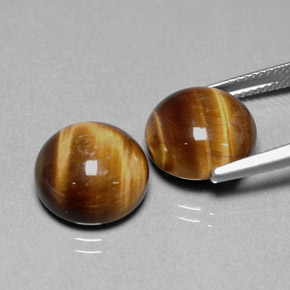 Gemas de tiger's eye marrón natural de  ct, corte redondo, opaco