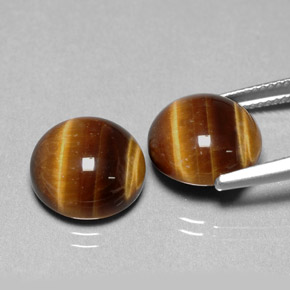 Gemas de tiger's eye marrón natural de  ct, corte redondo, opaco
