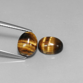 Gemas de Ojo de Tigre Marrón oro natural de  ct, Corte Óvalo, Opaco