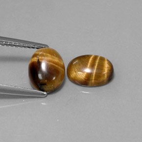 Gemas de tiger's eye marrón natural de  ct, corte óvalo, opaco