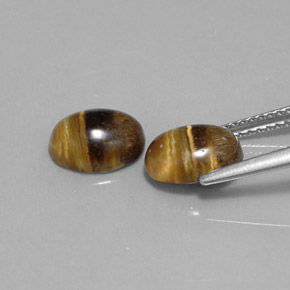 Gemas de tiger's eye marrón natural de  ct, corte óvalo, opaco