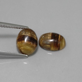 Gemas de tiger's eye marrón natural de  ct, corte óvalo, opaco