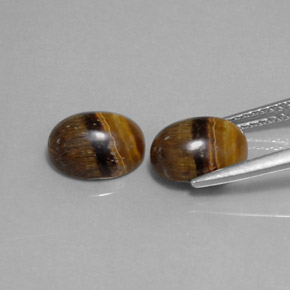 Gemas de tiger's eye marrón natural de  ct, corte óvalo, opaco
