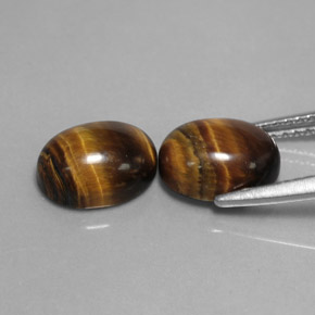 Gemas de Ojo de Tigre Marrón oro natural de  ct, Corte Óvalo, Opaco
