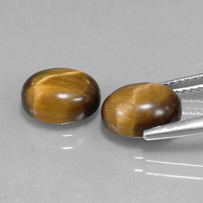 Gemas de tiger's eye marrón natural de  ct, corte óvalo, opaco