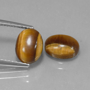 Gemas de tiger's eye marrón natural de  ct, corte óvalo, opaco