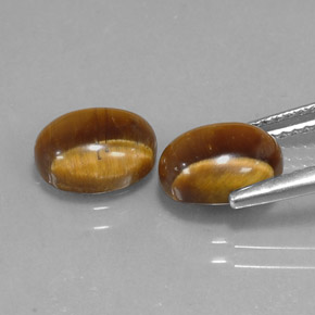 Gemas de tiger's eye marrón natural de  ct, corte óvalo, opaco