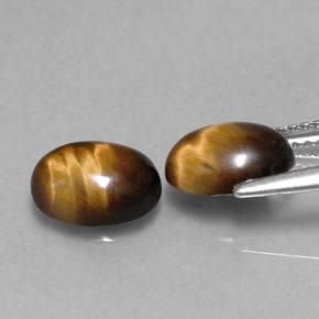 Gemas de tiger's eye marrón natural de  ct, corte óvalo, opaco