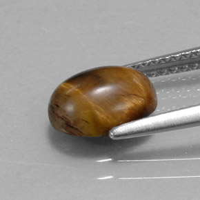 Tiger's eye marrón natural de 1,55 ct, corte óvalo, opaco