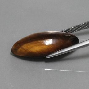 Ojo de Tigre Marrón oro natural de 12.68 ct, Marquesa, Opaco