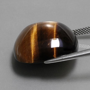 Ojo de Tigre Marrón oro natural de 27.92 ct, Corte Cojín, Opaco