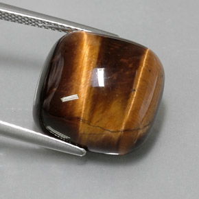 Ojo de Tigre Marrón oro natural de 13.67 ct, Corte Cojín, Opaco