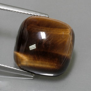 Ojo de Tigre Marrón oro natural de 13.05 ct, Corte Cojín, Opaco