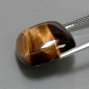 Ojo de Tigre Marrón oro natural de 13.05 ct, Corte Cojín, Opaco