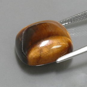 Tiger's eye marrón natural de 13,02 ct, corte cojín, opaco