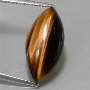 Tiger's eye marrón natural de 12,99 ct, marquesa, opaco