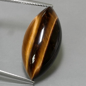 Tiger's eye marrón natural de 13,60 ct, marquesa, opaco
