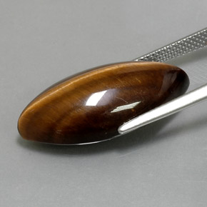 Tiger's eye marrón natural de 12,55 ct, marquesa, opaco