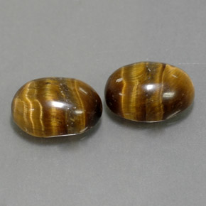 Gemas de Ojo de Tigre Marrón oro natural de  ct, Corte Óvalo, Opaco