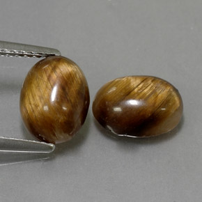Gemas de tiger's eye marrón natural de  ct, corte óvalo, opaco