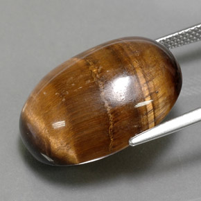 Tiger's eye marrón natural de 24,80 ct, corte óvalo, opaco