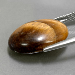 Ojo de Tigre Marrón oro natural de 12.39 ct, Corte Óvalo, Opaco
