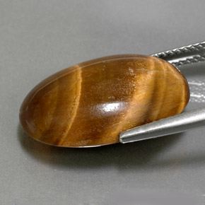 Tiger's eye marrón natural de 11,07 ct, corte óvalo, opaco