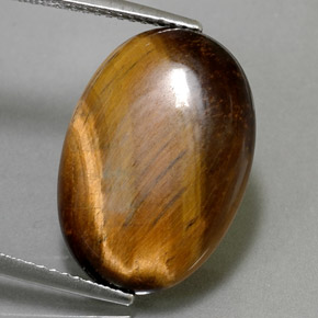 Tiger's eye marrón natural de 10,40 ct, corte óvalo, opaco