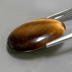 Tiger's eye marrón natural de 10,40 ct, corte óvalo, opaco